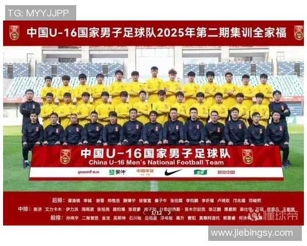 中国足球发展应重视团队合作而非依赖个别明星球员