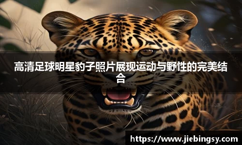 yy易游